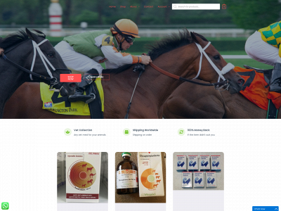 kihorsemed.com snapshot