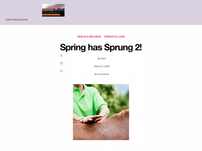 travelingfitequestrian.com snapshot