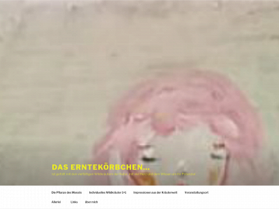 erntekoerbchen.de snapshot