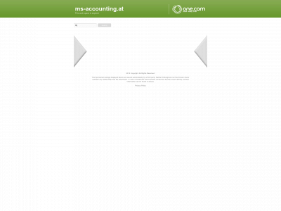 ms-accounting.at snapshot