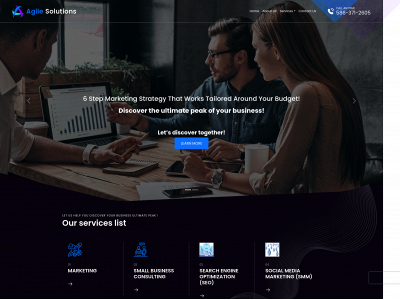 agilesolutionsllc.net snapshot