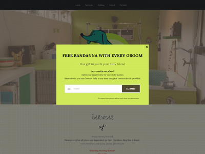 kk9grooming.co.uk snapshot