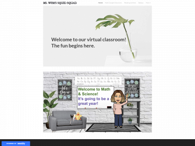teresaannwise.weebly.com snapshot