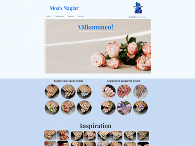 moasnaglar.se snapshot