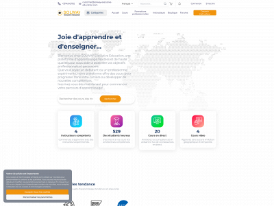 solway-executive-education.com snapshot