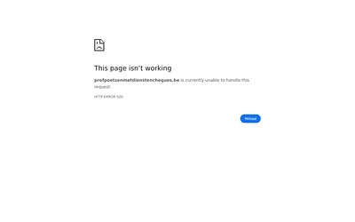 profpoetsenmetdienstencheques.be snapshot