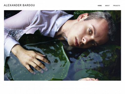 alexanderbardou.com snapshot