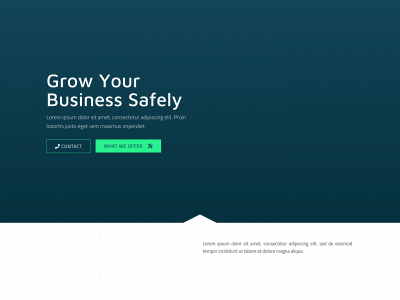 secureforit.com snapshot