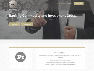 platgroupplc.com snapshot