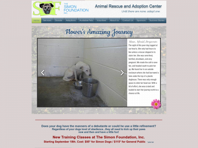 www.thesimonfoundation.org snapshot