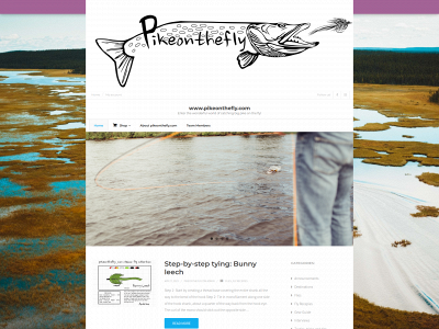 pikeonthefly.com snapshot