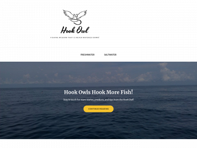 hookowl.com snapshot