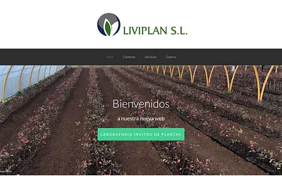 liviplan.es snapshot