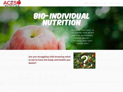 www.theaceso.com snapshot