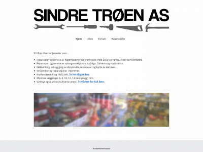 sindretroen.no snapshot