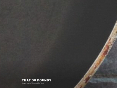 that30pounds.com snapshot