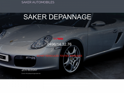 depannagesaker.be snapshot