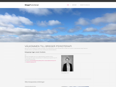 briegerpsykoterapi.se snapshot