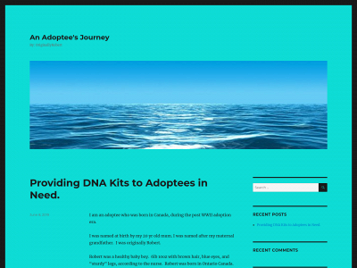 anadopteesjourney.com snapshot