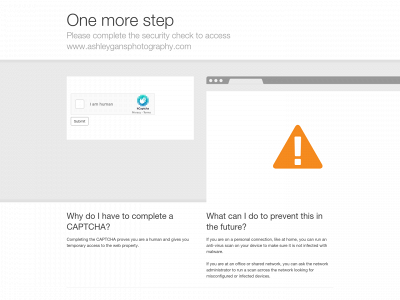 ashleygansphotography.com snapshot