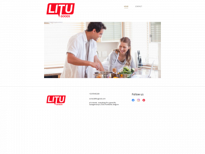litugoods.com snapshot