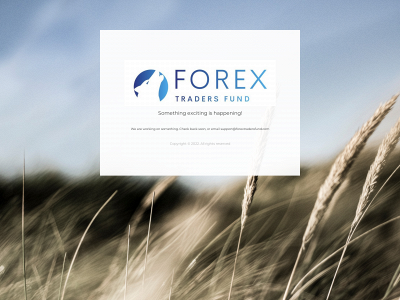 forextradersfund.com snapshot