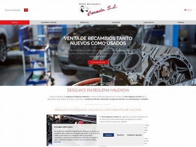desguacecarmelo.com snapshot