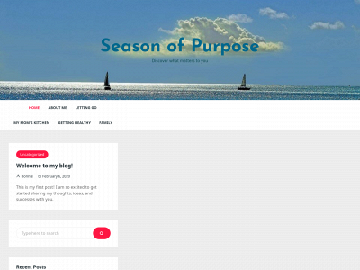 seasonofpurpose.com snapshot