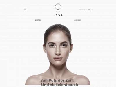 face.ch snapshot