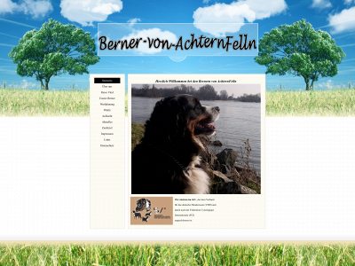 berner-von-achternfelln.de snapshot
