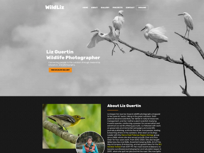 wildliz.com snapshot