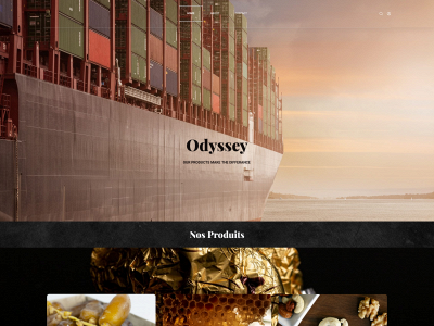 odyssey-dz.com snapshot