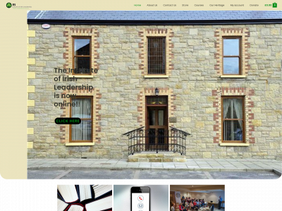 instituteofirishleadership.org snapshot