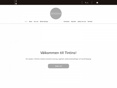 salongtintin.se snapshot