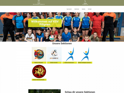 ksv-pillgram.de snapshot