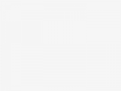bullseyeburgerhouse.com snapshot