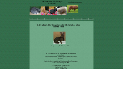 lonlyskaniner.com snapshot