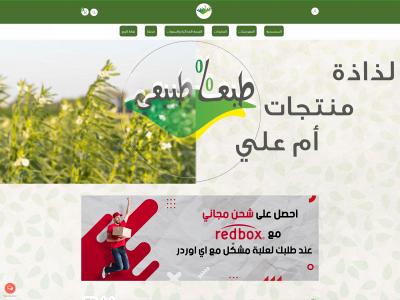 surelyna.com snapshot