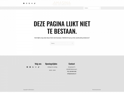 amasina.nl snapshot
