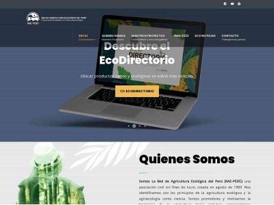 raeperu.org snapshot