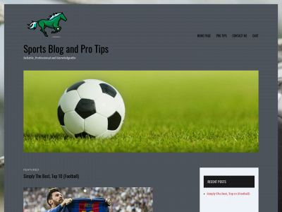sportsblogandprotips.com snapshot
