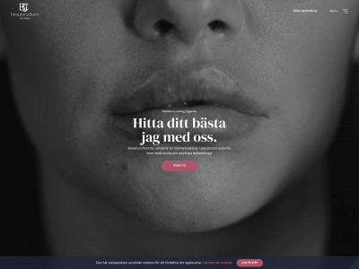 beautyculture.se snapshot