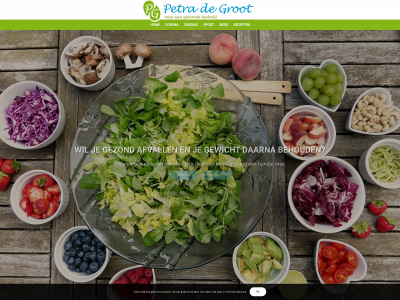 petradegroot.com snapshot