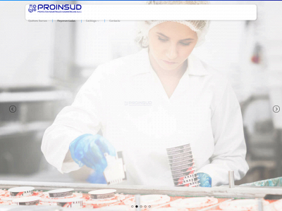 proinsud.com snapshot