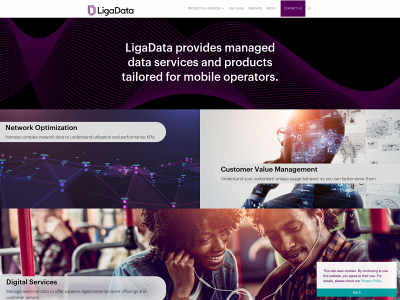 ligadata.com snapshot