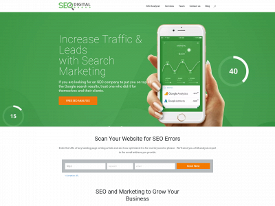 seodigitalgroup.com snapshot