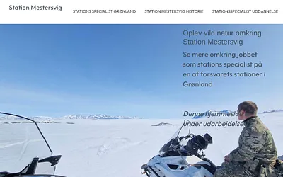 stationmestersvig.dk snapshot