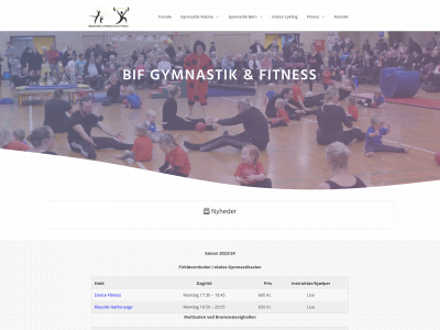 bifgym.dk snapshot