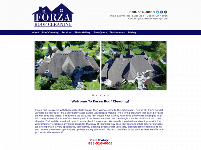 forzaroofcleaning.com snapshot