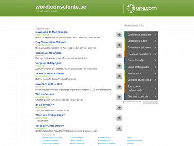 wordtconsulente.be snapshot